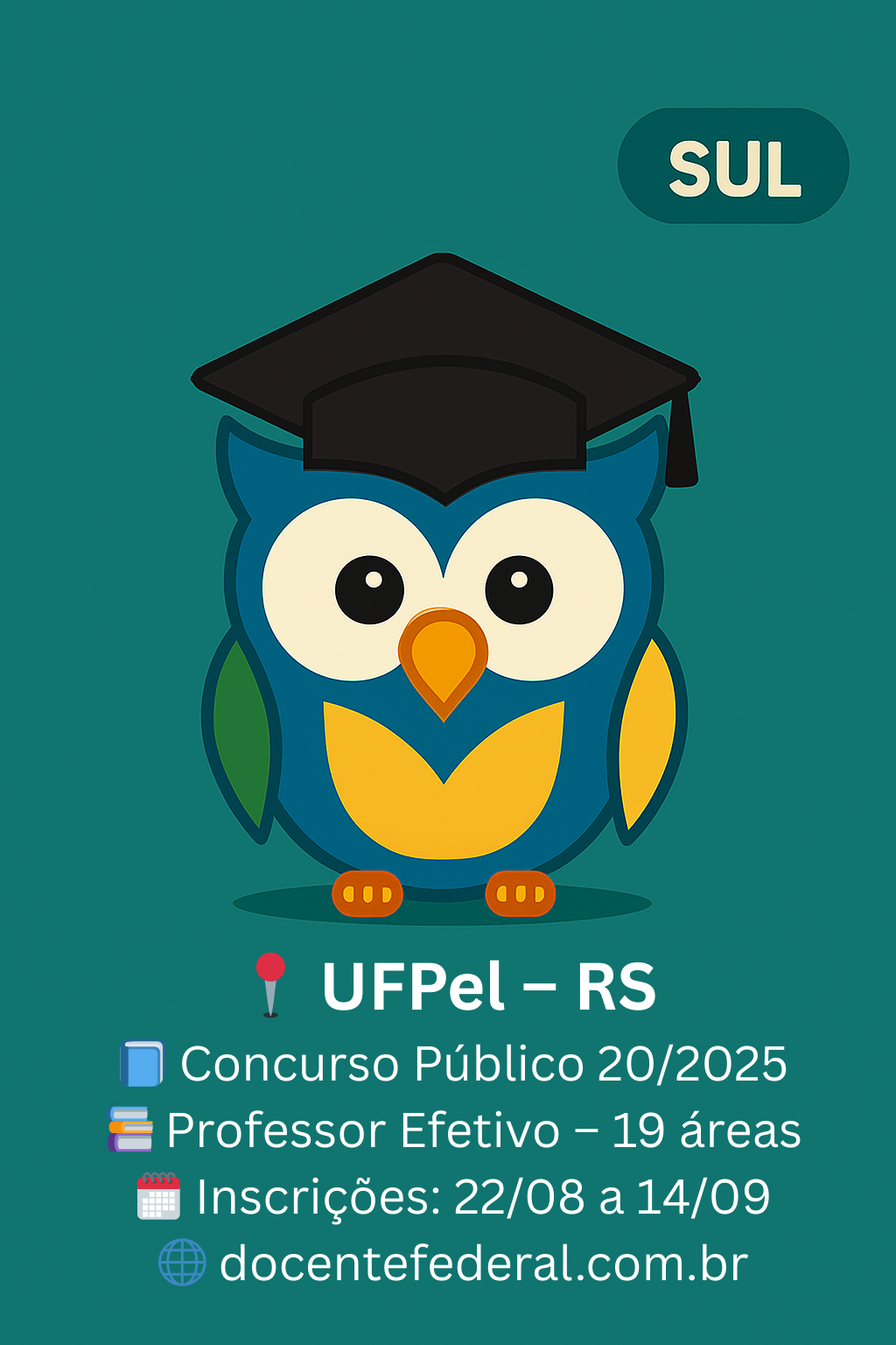 Concurso da UFPel para Professor Efetivo do Magistério Superior, 19 vagas em várias áreas, inscrições de 22 de agosto a 14 de setembro de 2025 e salário máximo de R$ 13.288,85.