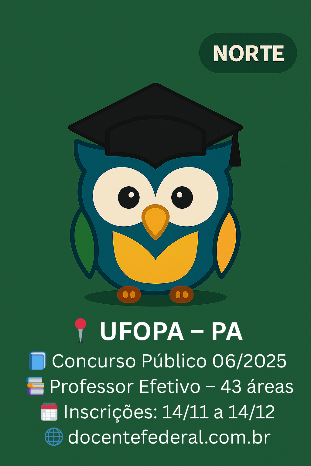 Concurso UFOPA 2025 para Professor Efetivo
