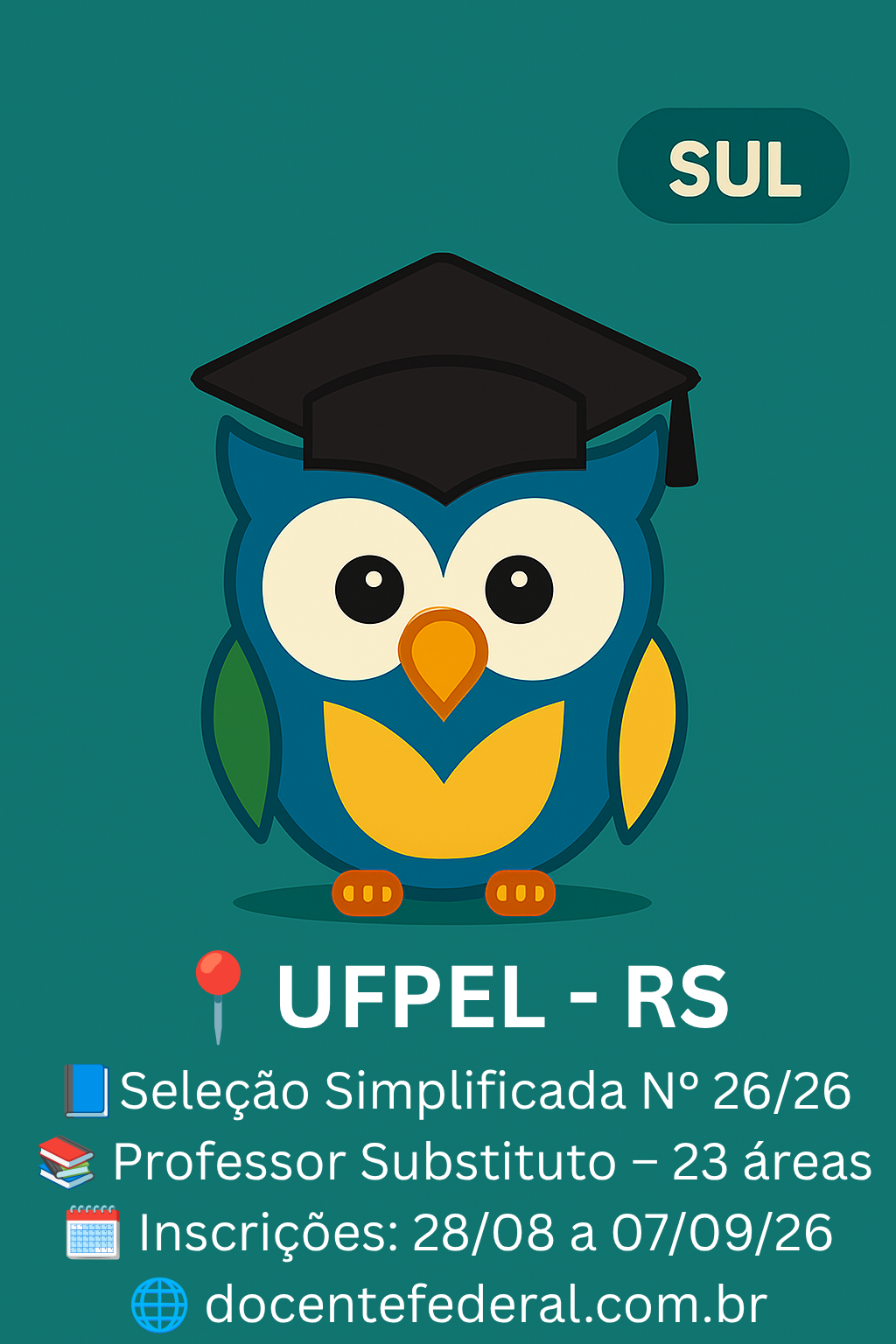 Processo Seletivo UFPel Professor Substituto 2026